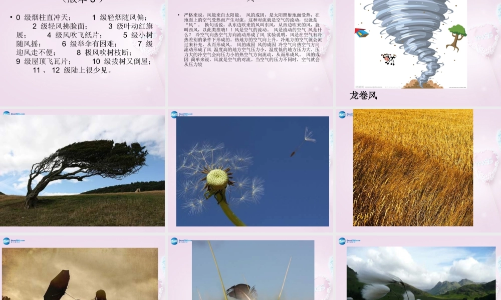 六年级科学下册《风从哪里来》课件2 青岛版