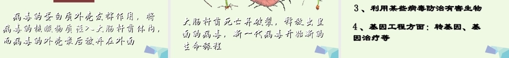 六年级科学上册 病毒课件4 青岛版-青岛版小学六年级上册自然科学课件