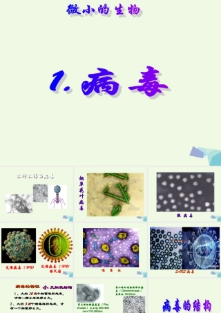 六年级科学上册 病毒课件4 青岛版-青岛版小学六年级上册自然科学课件