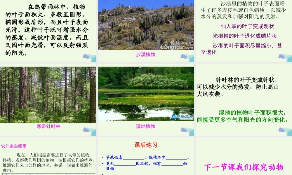 六年级科学上册 1.2 从南橘北枳说起课件3 湘教版-湘教版小学六年级上册自然科学课件