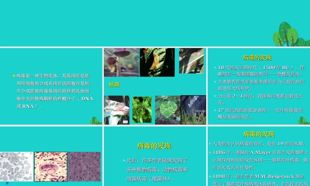 六年级科学上册 病毒课件5 青岛版-青岛版小学六年级上册自然科学课件