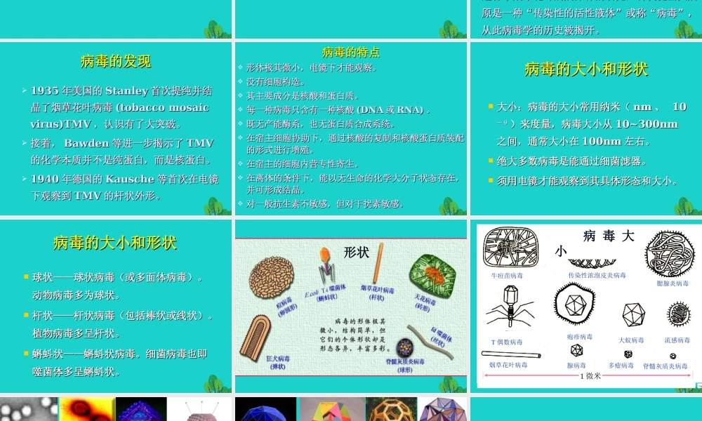 六年级科学上册 病毒课件5 青岛版-青岛版小学六年级上册自然科学课件