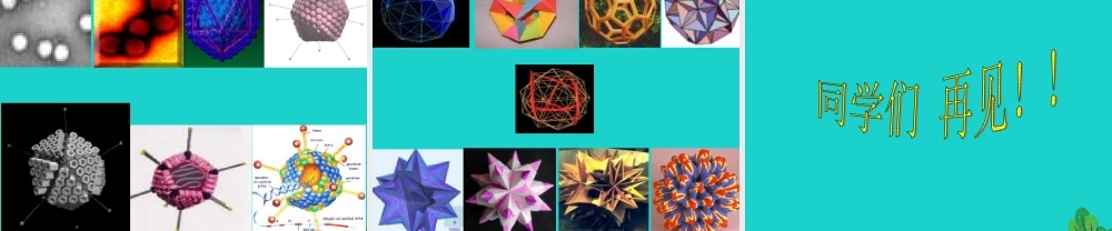 六年级科学上册 病毒课件5 青岛版-青岛版小学六年级上册自然科学课件