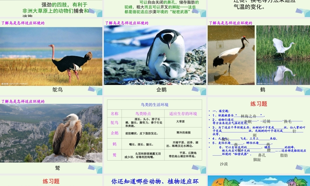 六年级科学上册 1.2 从南橘北枳说起课件4 湘教版-湘教版小学六年级上册自然科学课件