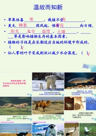 六年级科学上册 1.2 从南橘北枳说起课件4 湘教版-湘教版小学六年级上册自然科学课件