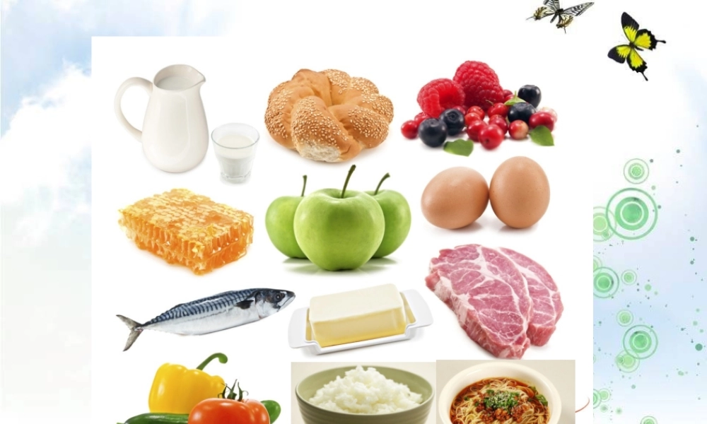 六年级科学上册 第二章 第2课 食物在人体内的旅行课件3 新人教版-新人教版小学六年级上册自然科学课件