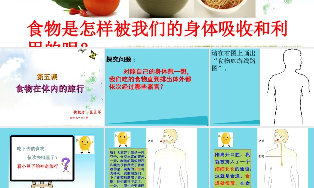六年级科学上册 第二章 第2课 食物在人体内的旅行课件3 新人教版-新人教版小学六年级上册自然科学课件
