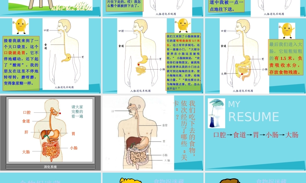 六年级科学上册 第二章 第2课 食物在人体内的旅行课件3 新人教版-新人教版小学六年级上册自然科学课件