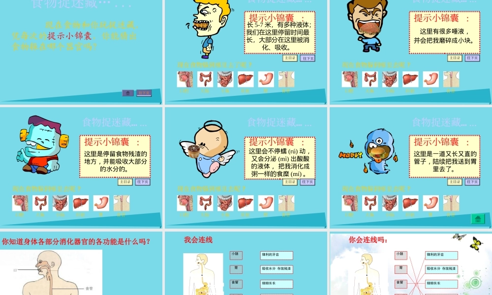 六年级科学上册 第二章 第2课 食物在人体内的旅行课件3 新人教版-新人教版小学六年级上册自然科学课件