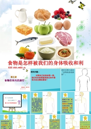 六年级科学上册 第二章 第2课 食物在人体内的旅行课件3 新人教版-新人教版小学六年级上册自然科学课件