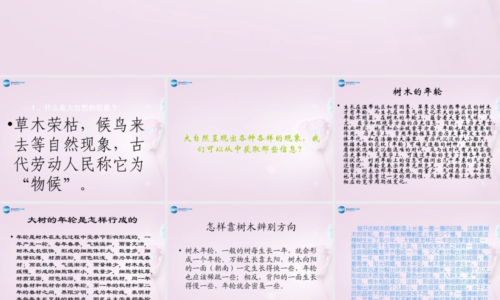 六年级科学下册《来自大自然的信息》课件 青岛版