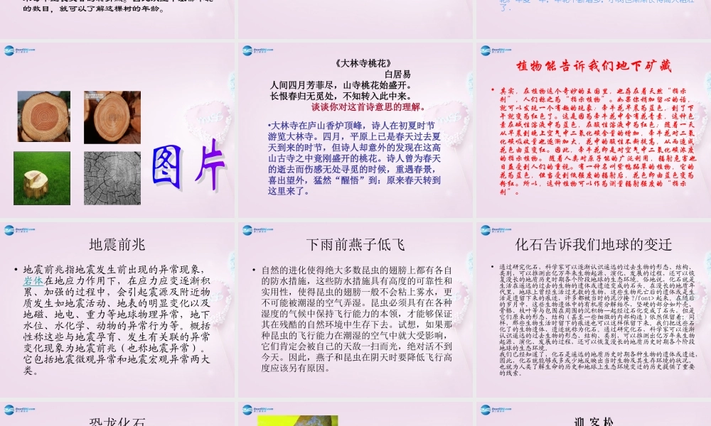 六年级科学下册《来自大自然的信息》课件 青岛版