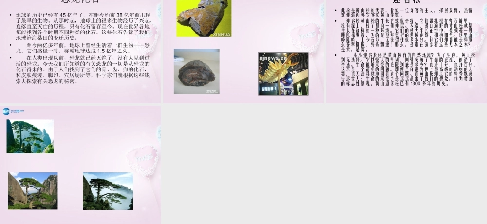 六年级科学下册《来自大自然的信息》课件 青岛版