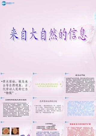 六年级科学下册《来自大自然的信息》课件 青岛版