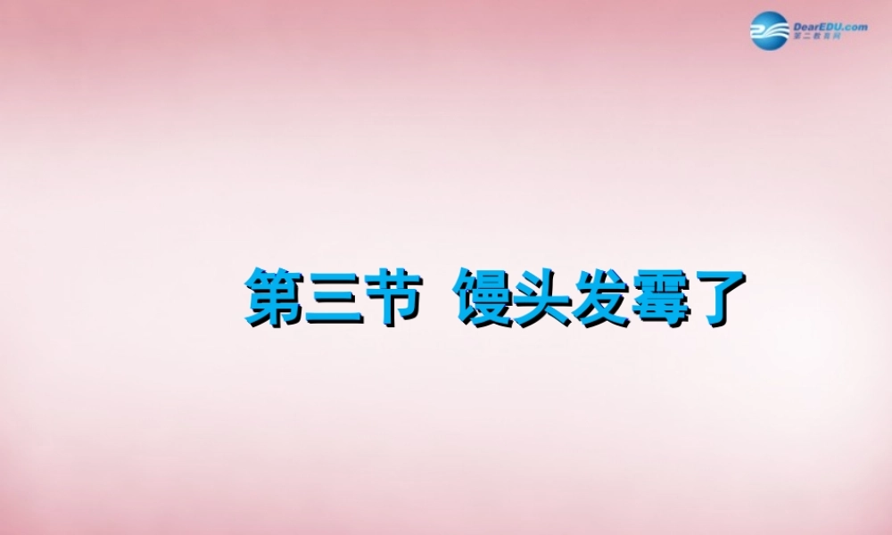 六年级科学上册 第1单元 3 馒头发霉了课件1 青岛版