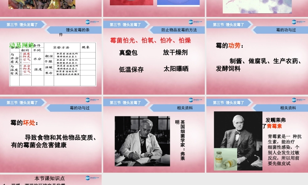 六年级科学上册 第1单元 3 馒头发霉了课件1 青岛版