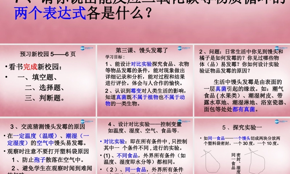 六年级科学上册 第1单元 3 馒头发霉了课件2 青岛版