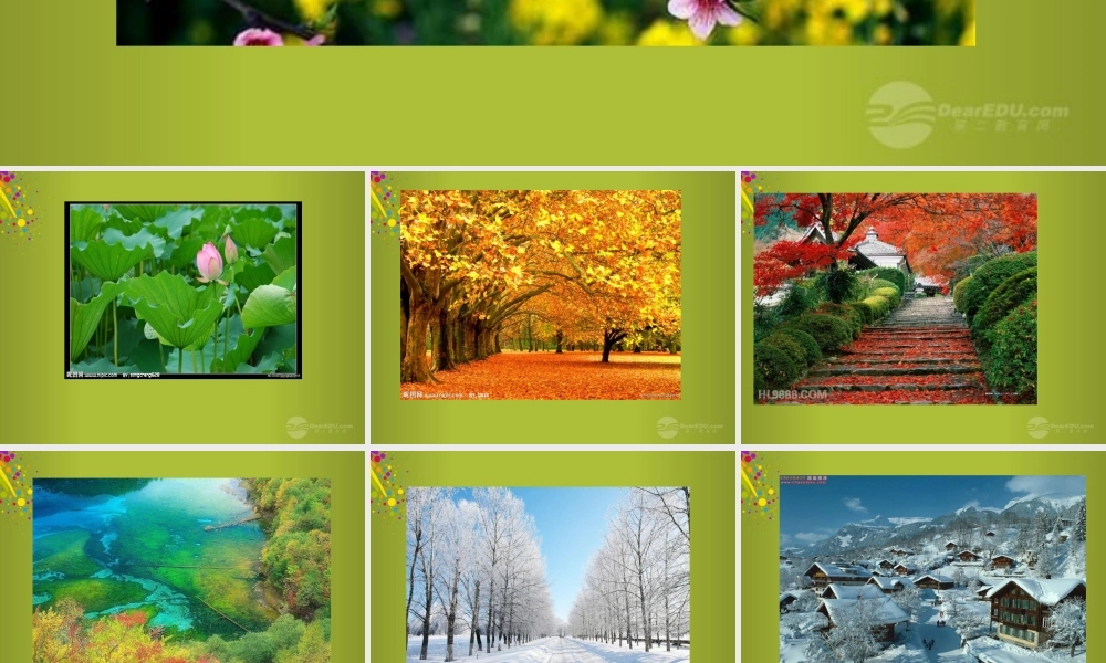 六年级科学下册《来自大自然的信息》课件1 青岛版