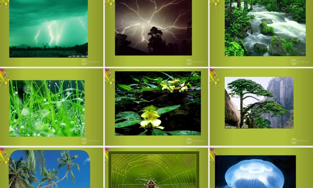 六年级科学下册《来自大自然的信息》课件1 青岛版