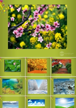 六年级科学下册《来自大自然的信息》课件1 青岛版