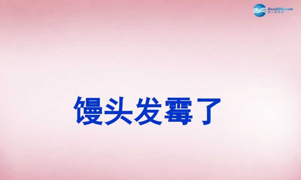 六年级科学上册 第1单元 3 馒头发霉了课件3 青岛版