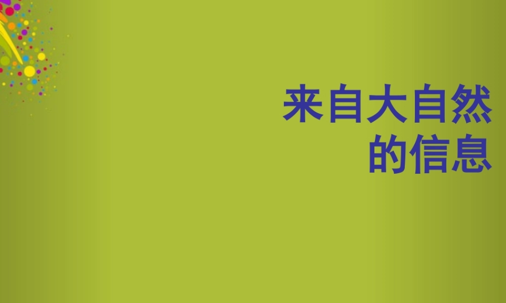 六年级科学下册《来自大自然的信息》课件2 青岛版