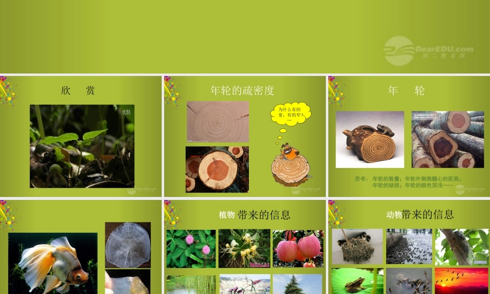 六年级科学下册《来自大自然的信息》课件2 青岛版