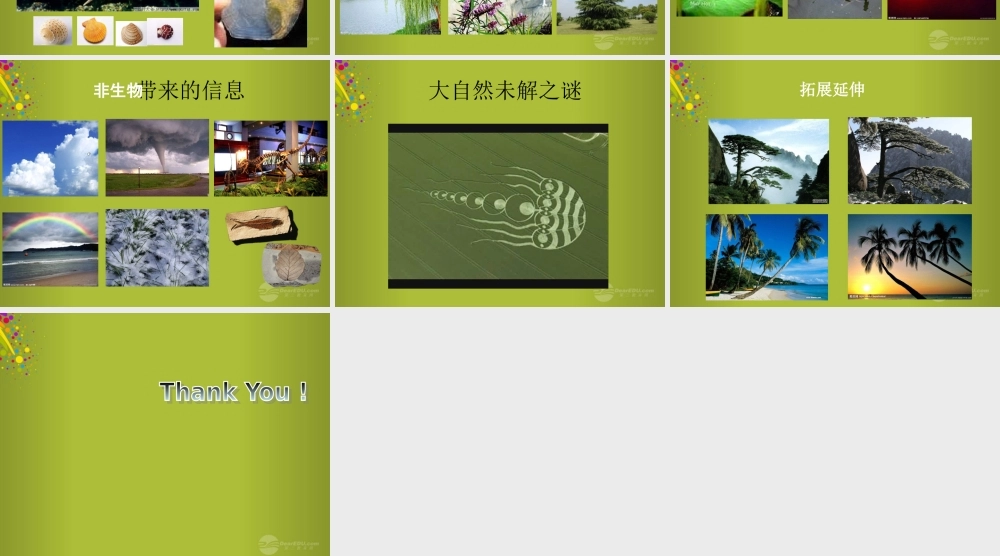 六年级科学下册《来自大自然的信息》课件2 青岛版