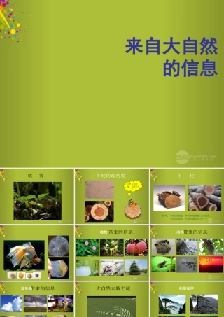 六年级科学下册《来自大自然的信息》课件2 青岛版