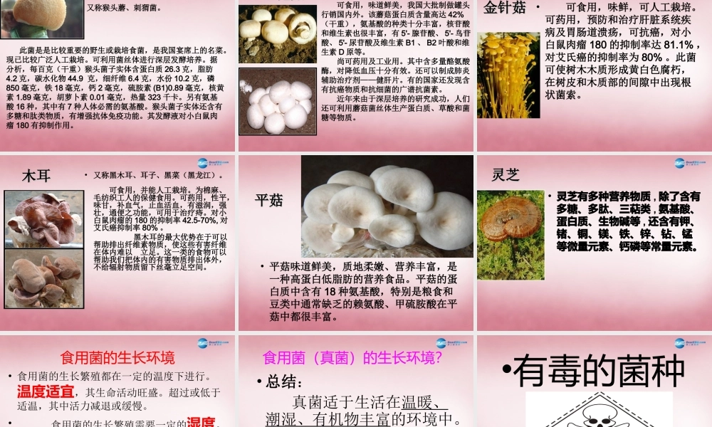 六年级科学上册 第1单元 4 食用菌课件1 青岛版