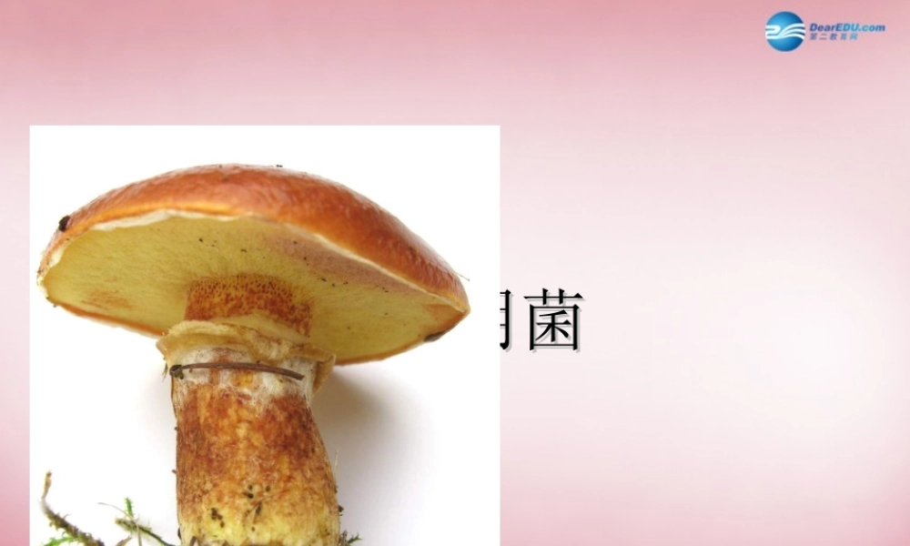 六年级科学上册 第1单元 4 食用菌课件2 青岛版