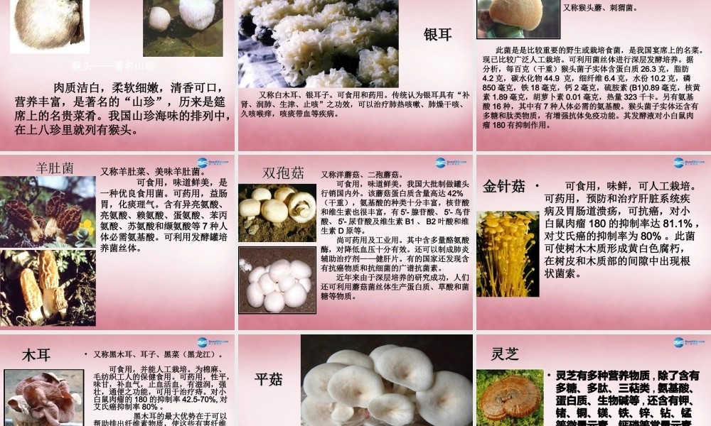 六年级科学上册 第1单元 4 食用菌课件2 青岛版