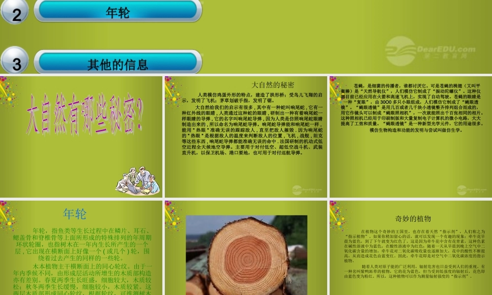 六年级科学下册《来自大自然的信息》课件4 青岛版