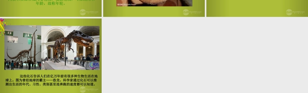 六年级科学下册《来自大自然的信息》课件4 青岛版