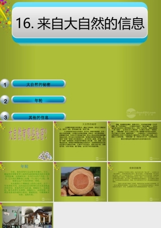 六年级科学下册《来自大自然的信息》课件4 青岛版