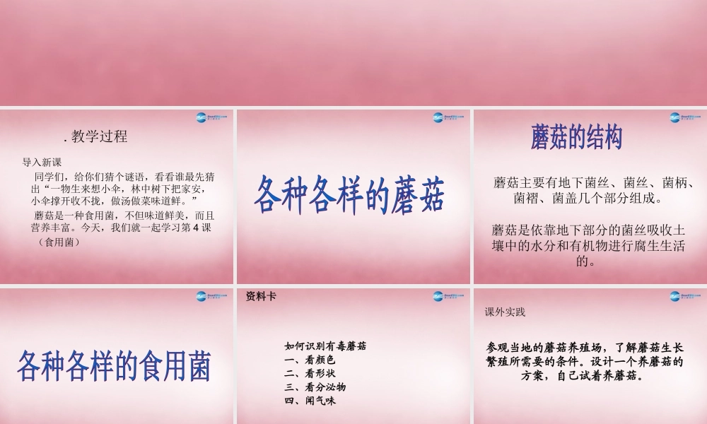 六年级科学上册 第1单元 4 食用菌课件3 青岛版