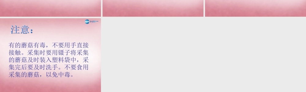 六年级科学上册 第1单元 4 食用菌课件3 青岛版