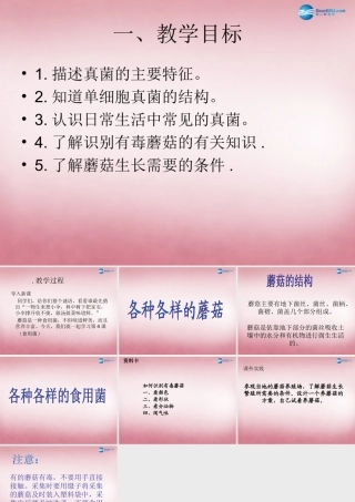 六年级科学上册 第1单元 4 食用菌课件3 青岛版