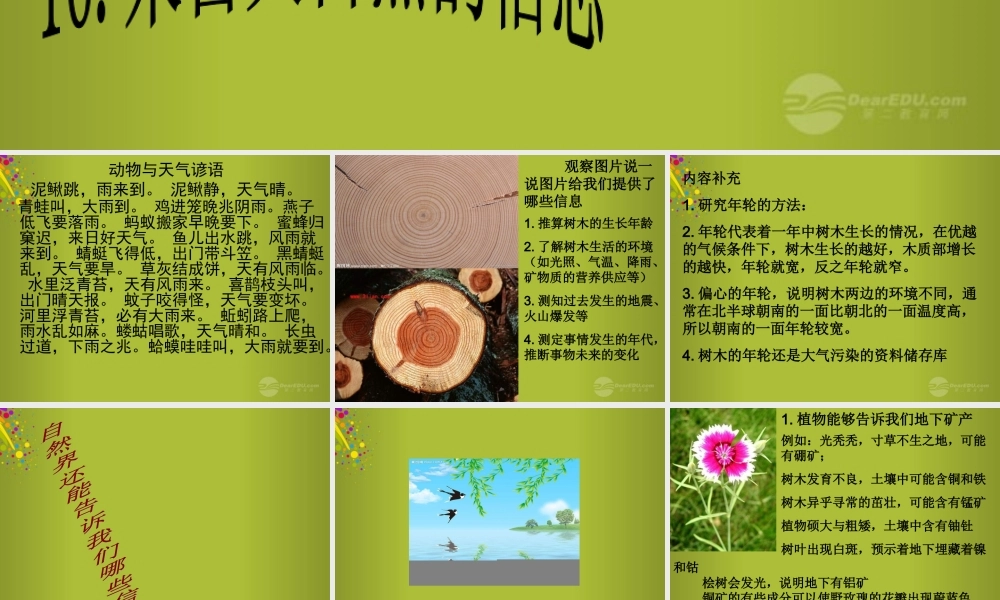 六年级科学下册《来自大自然的信息》课件5 青岛版