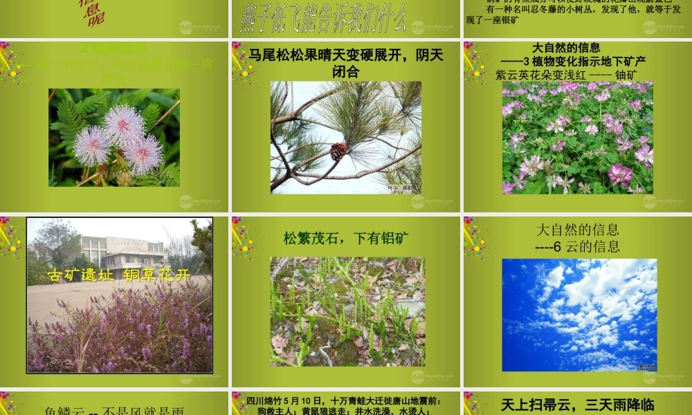 六年级科学下册《来自大自然的信息》课件5 青岛版