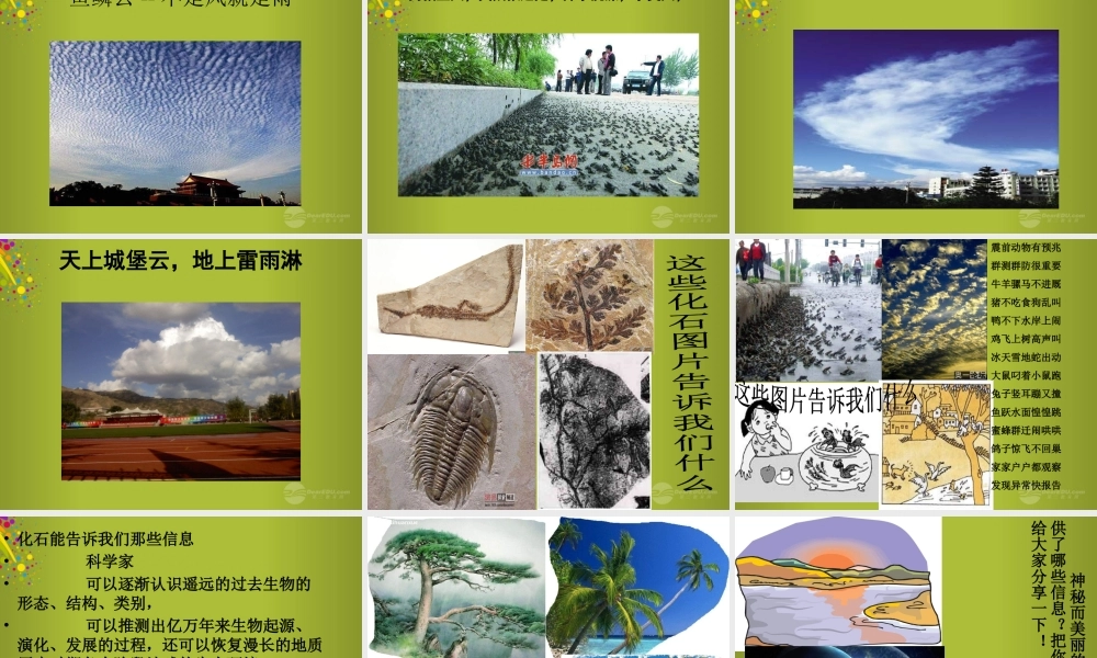 六年级科学下册《来自大自然的信息》课件5 青岛版