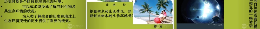 六年级科学下册《来自大自然的信息》课件5 青岛版
