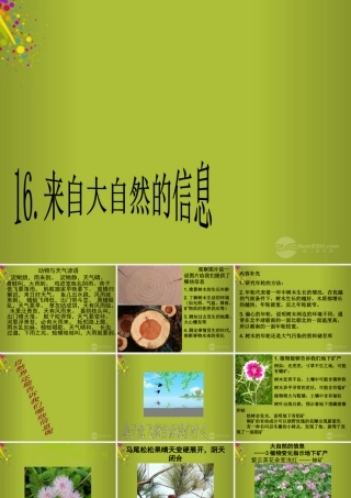 六年级科学下册《来自大自然的信息》课件5 青岛版