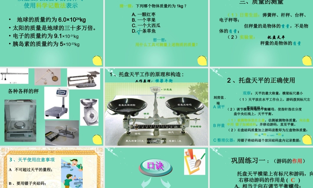 六年级科学上册 1.3 简单的实验技巧-天平和质量课件 牛津上海版五四制-牛津上海版小学六年级上册自然科学课件