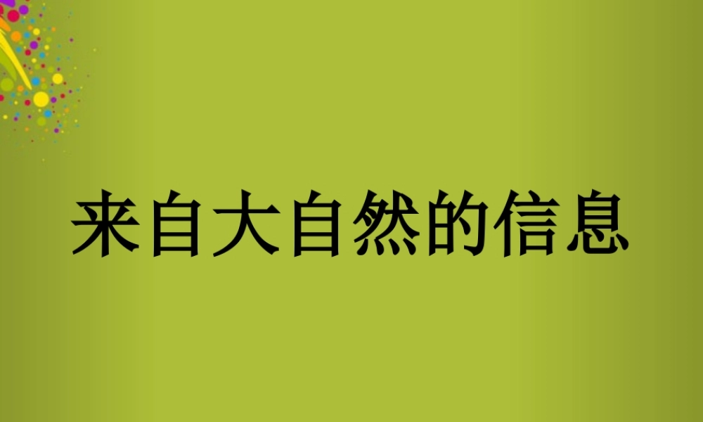 六年级科学下册《来自大自然的信息》课件6 青岛版