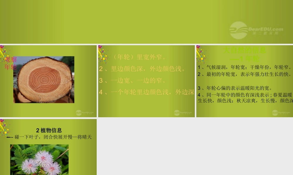 六年级科学下册《来自大自然的信息》课件6 青岛版