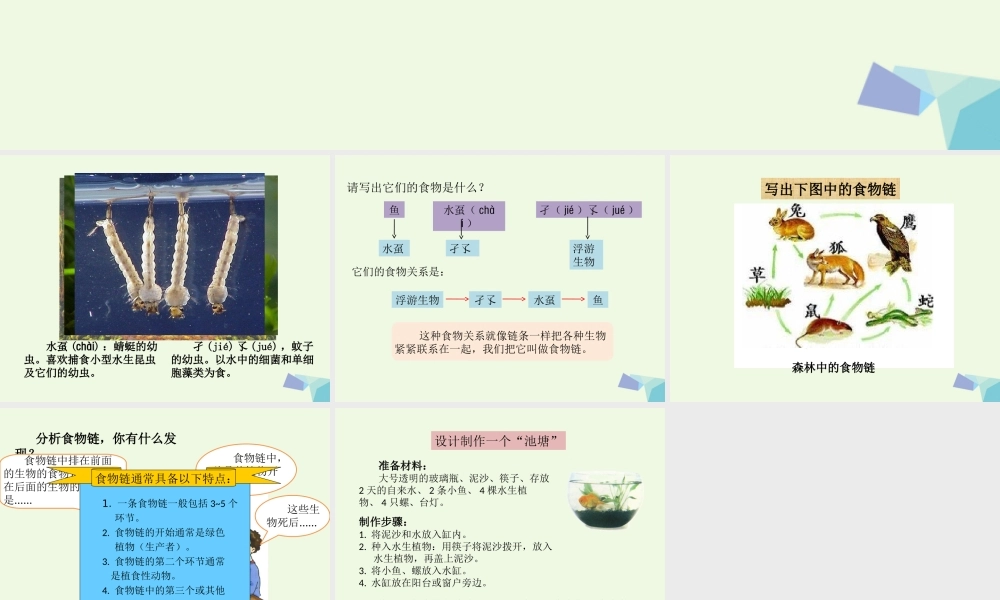 六年级科学上册 1.3 走进池塘课件1 湘教版-湘教版小学六年级上册自然科学课件