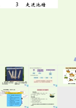 六年级科学上册 1.3 走进池塘课件1 湘教版-湘教版小学六年级上册自然科学课件