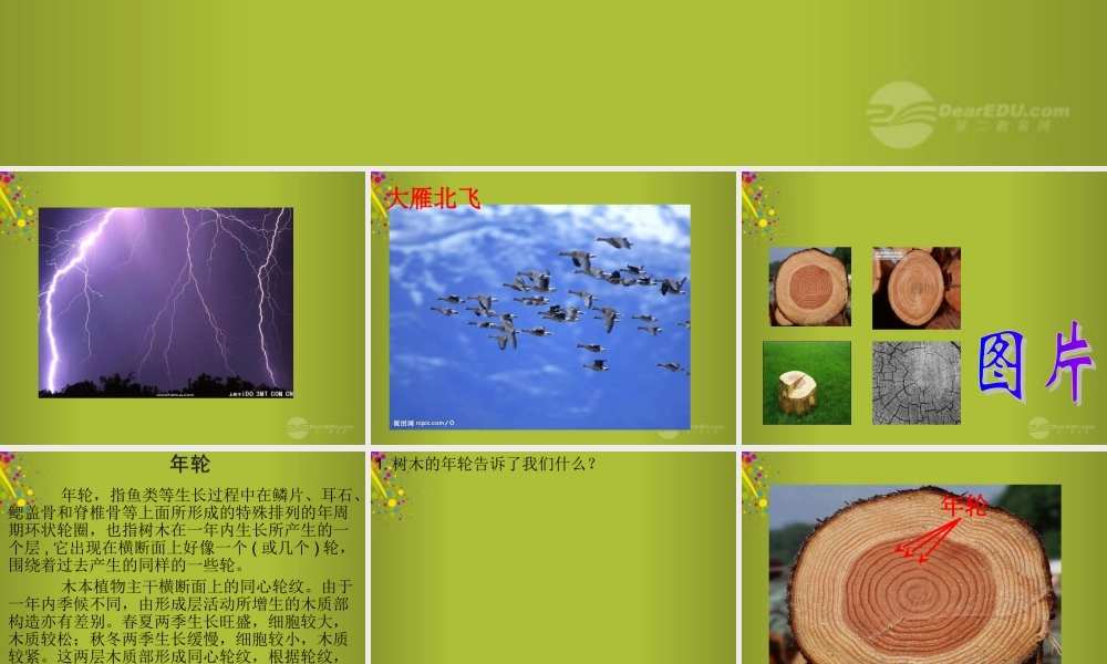 六年级科学下册《来自大自然的信息》课件7 青岛版