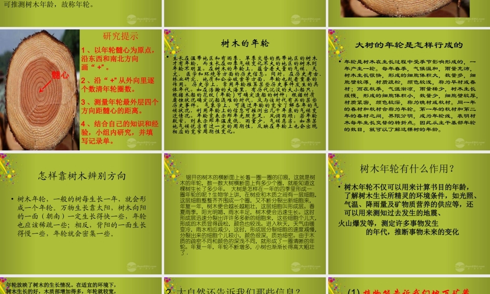 六年级科学下册《来自大自然的信息》课件7 青岛版